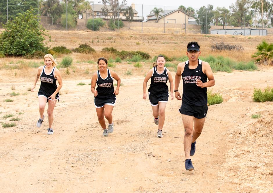 Men's and women's cross country athletes