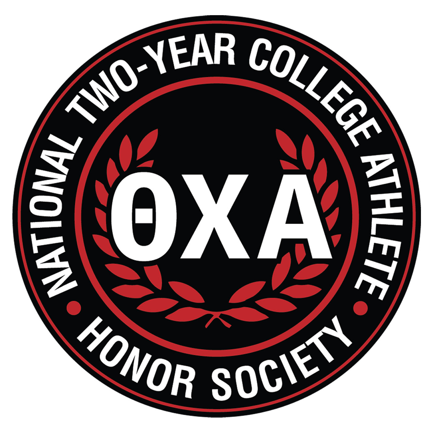 Theta Chi Alpha Website
